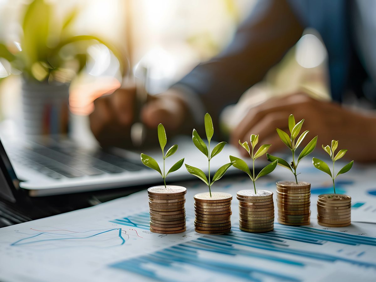 Capital and growth